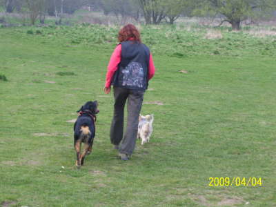 ben auf der Hundewiese