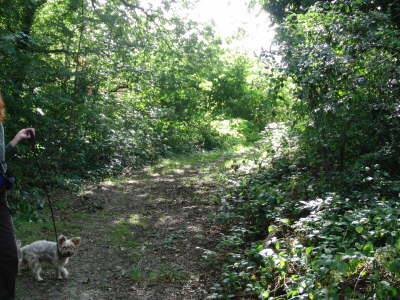 Bild 7