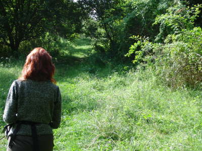 Bild 8