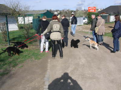 Auf zur Hundewiese