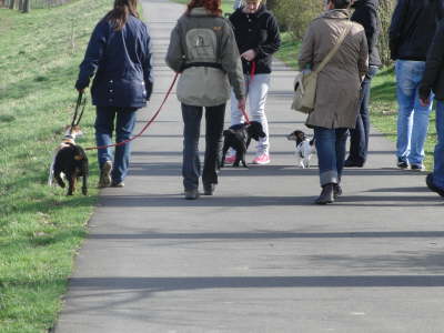 Gruppenspaziergang