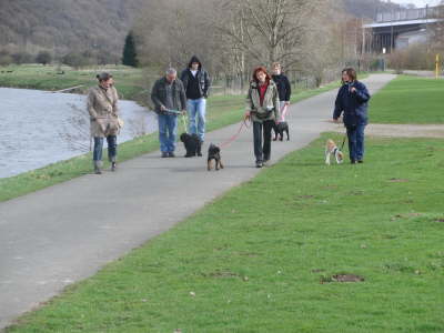 Blder Trainer, der hat Trockenfisch ausgeworfen und wir drfen nicht fressen!!