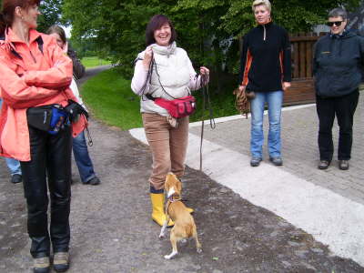 auch Minis knnen das