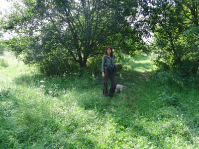 Bild 9